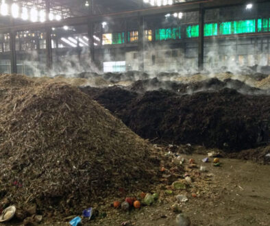 Composting Reduces Organic Waste Effectively